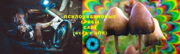 гидра Горно-Алтайск