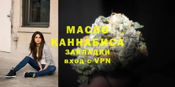 гидра Горно-Алтайск