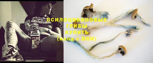 прущие крисы Володарск