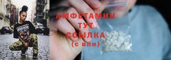 индика Вяземский