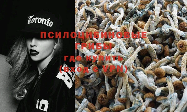 ешки Горнозаводск