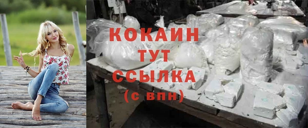 гидра Горно-Алтайск