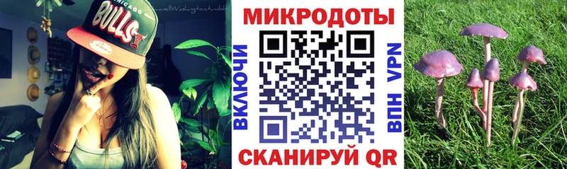 Галлюциногенные грибы мицелий Гусь-Хрустальный